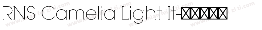 RNS Camelia Light It字体转换